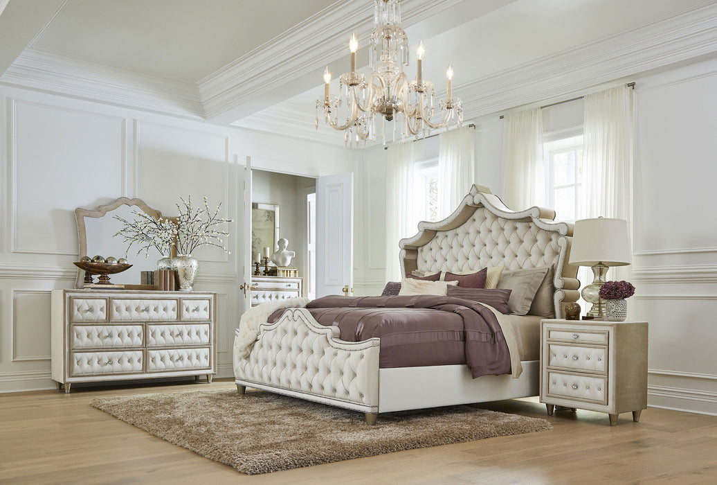 Antonella Queen Beds