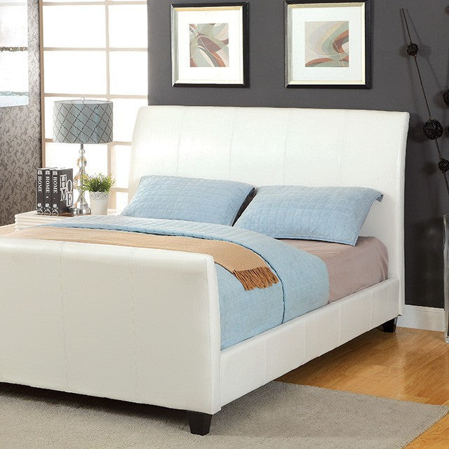 Maynard Bed