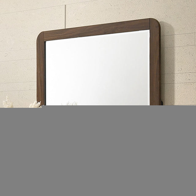 Hayward Mirror